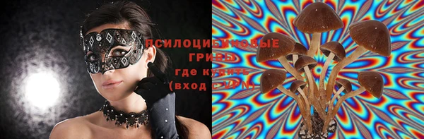 твердый Алзамай