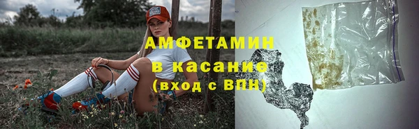мет Алексин